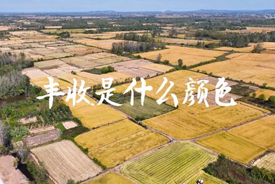 春種一粒粟，秋收萬顆子。多彩的豐收季，只愿五谷豐登，百事興旺3.240_400.jpg
