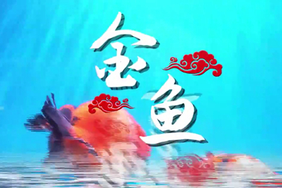 金魚歡躍，流光溢彩！_400.jpg